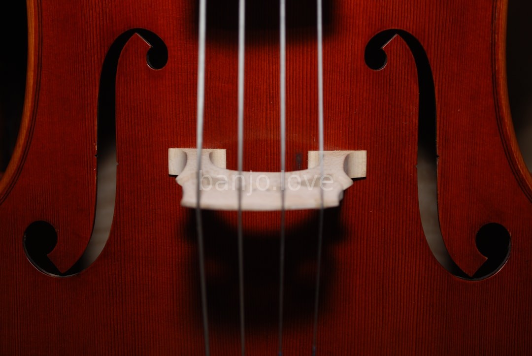 Custom Banjo