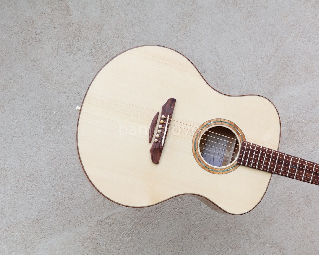 Luthier Workshop