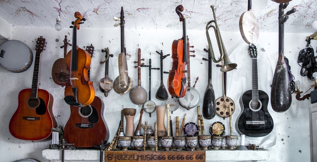 Master Banjo Craftsmanship