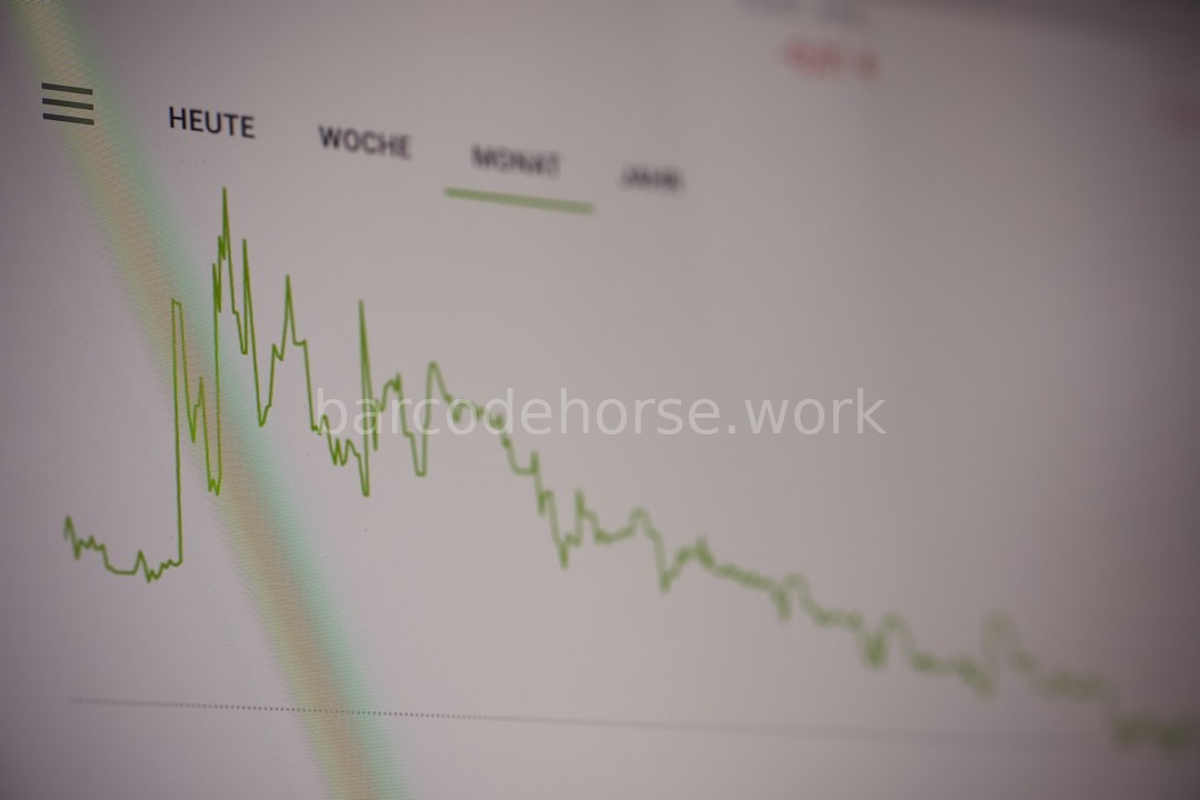 Portfolio Audit