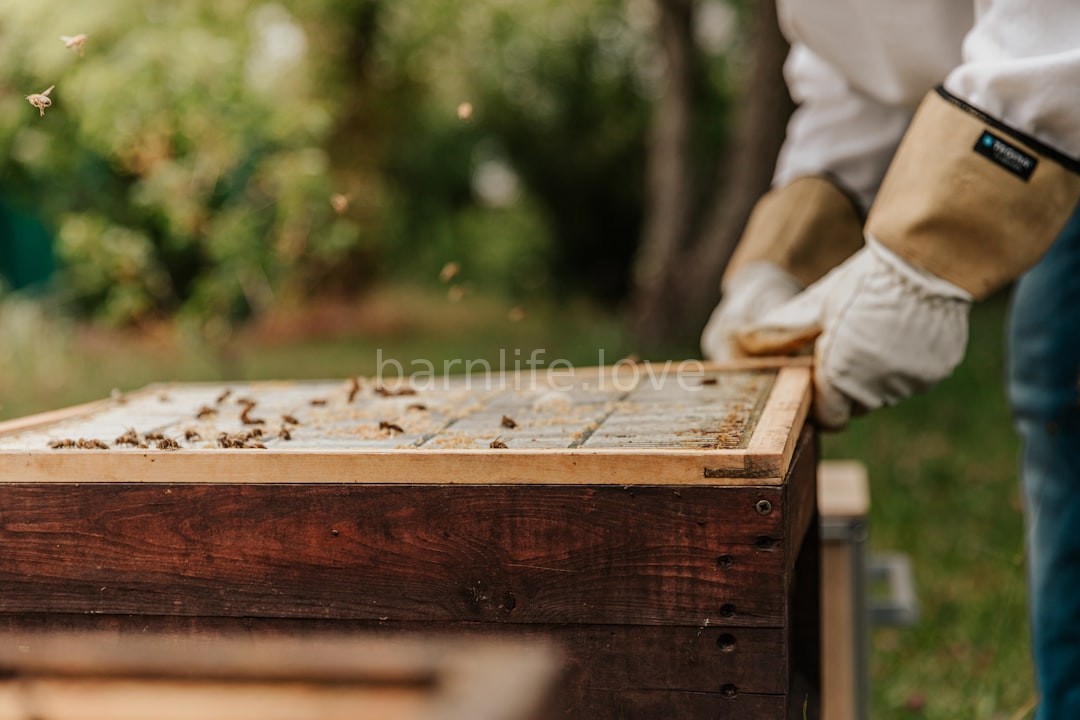 Artisan Honey