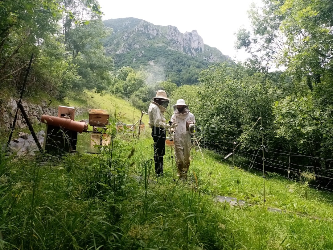Hive Installation