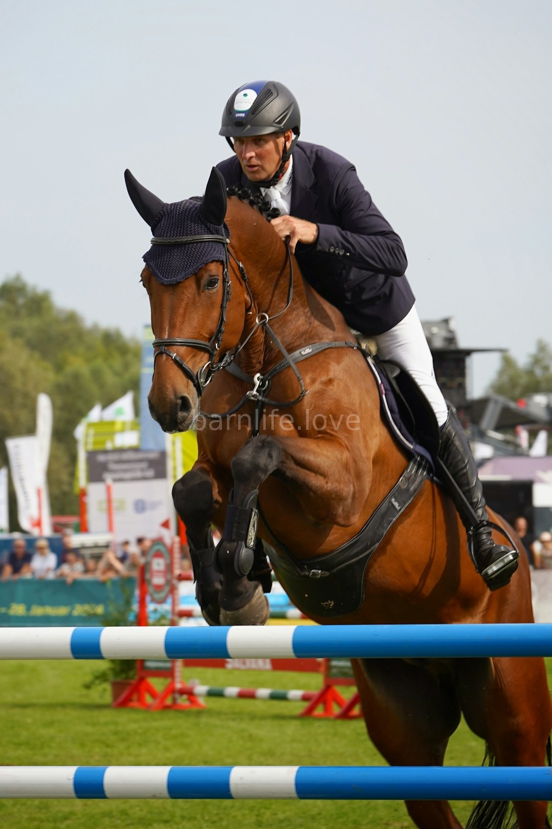 Equestrian Landscape