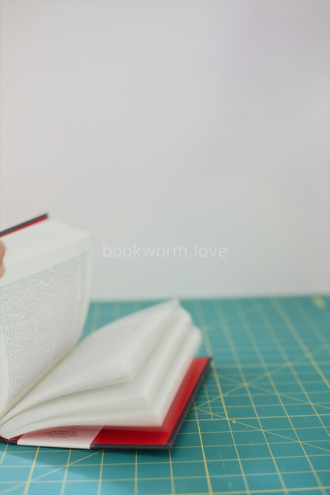 Leather Binding