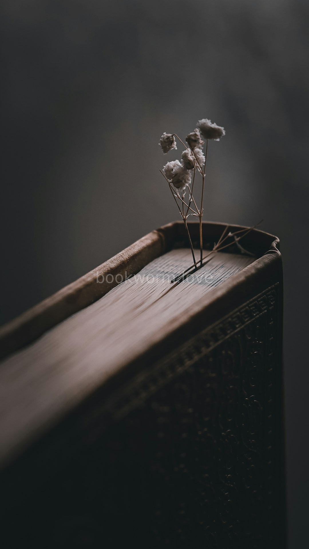 Old books