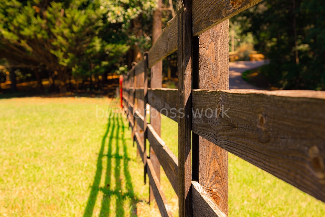 Luxury Perimeter Fencing
