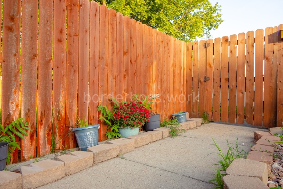 Cedar Texture