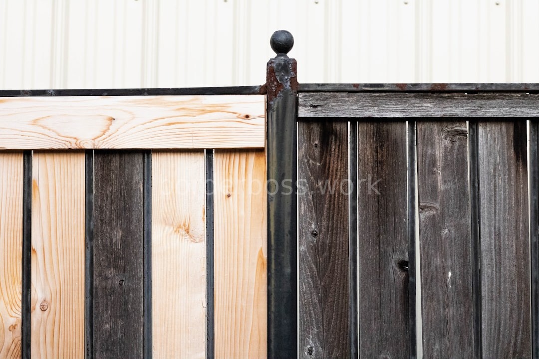 Privacy Fencing