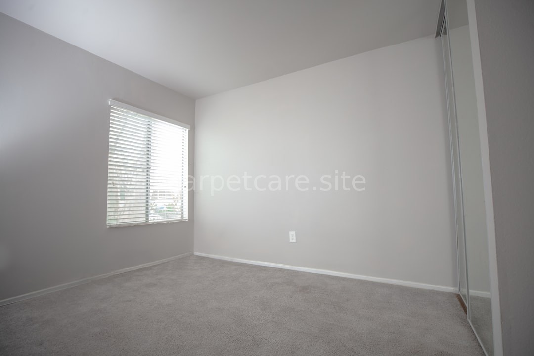 Clean carpet background
