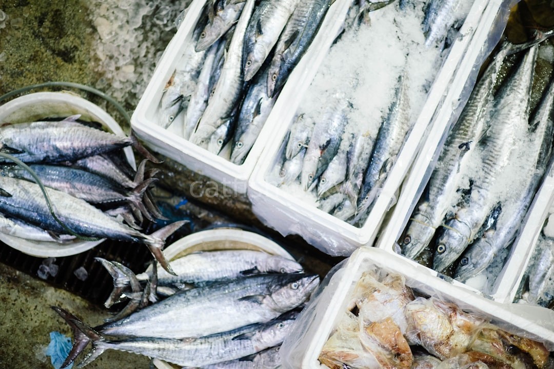 Tuna Selection