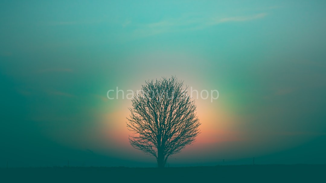 Quiet Moment