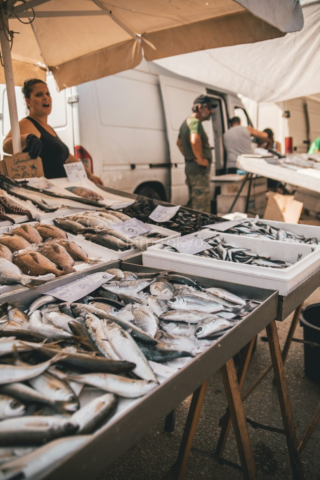 Fresh Seafood Display