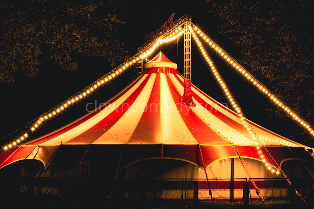 Main Circus Performance