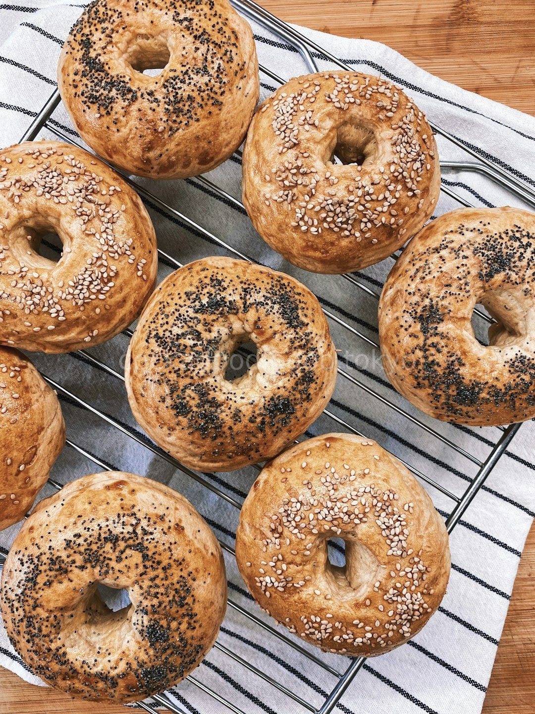 Bagel 2