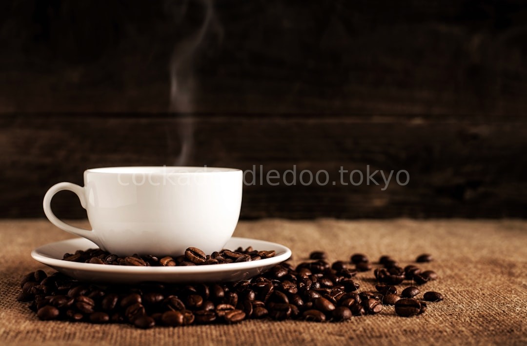 Urban Coffee Experience