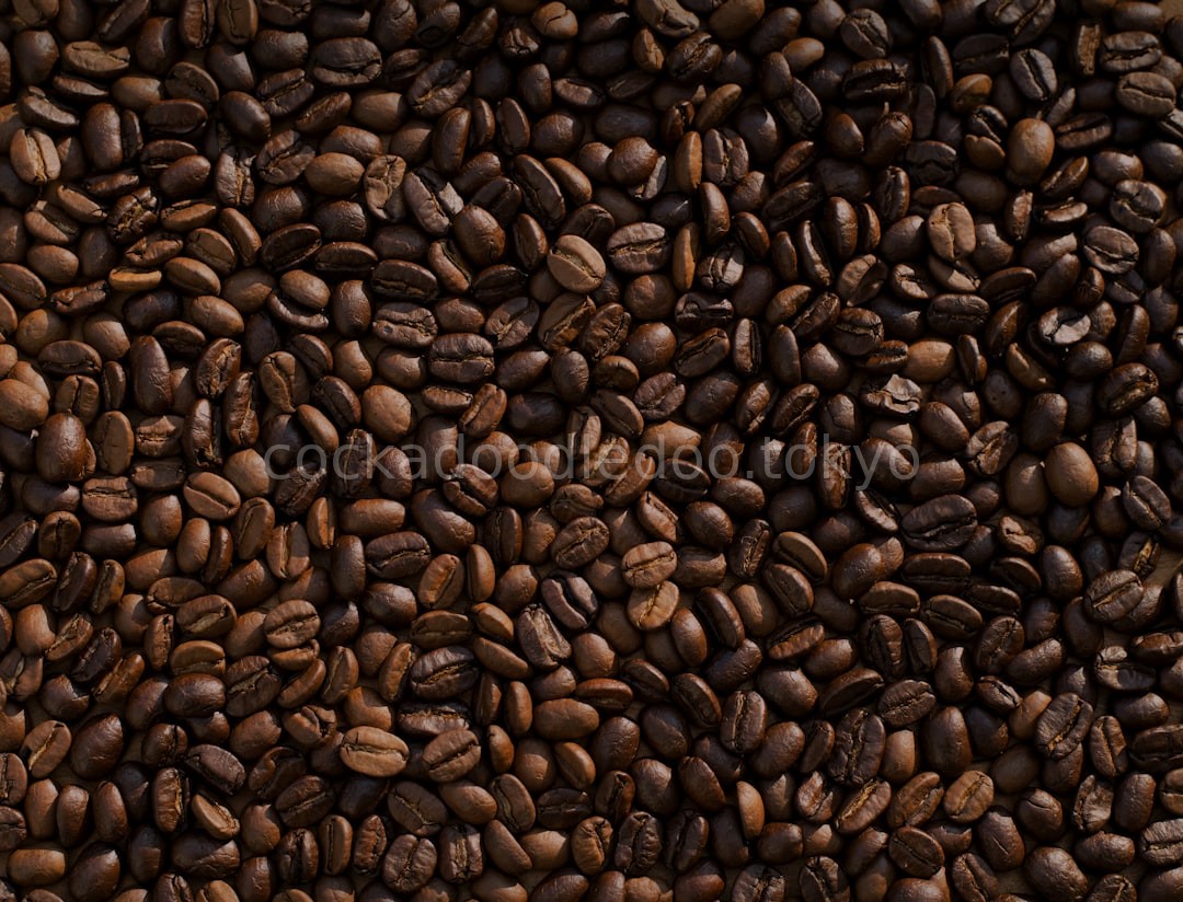 Coffee Bean Detail