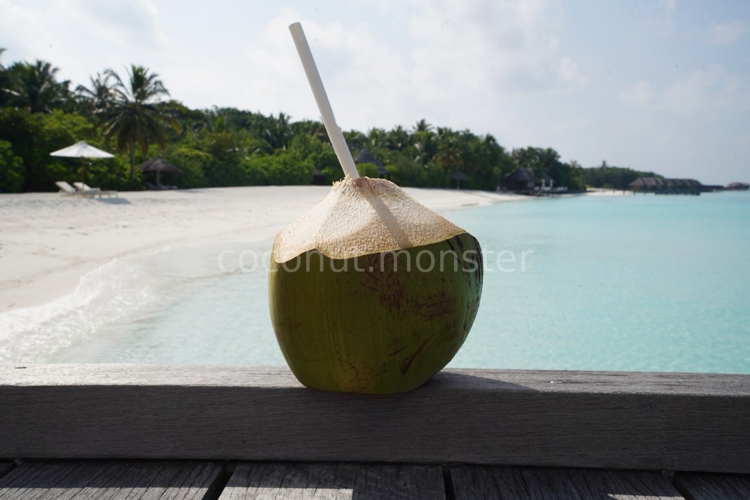 Tropical Background