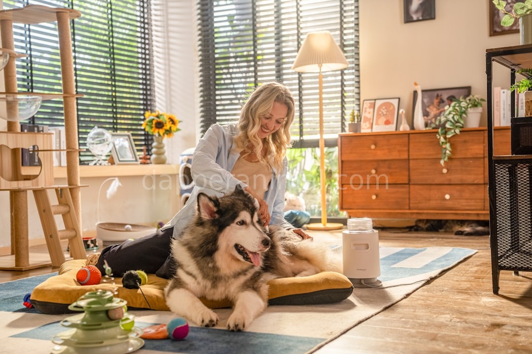 Paw Care