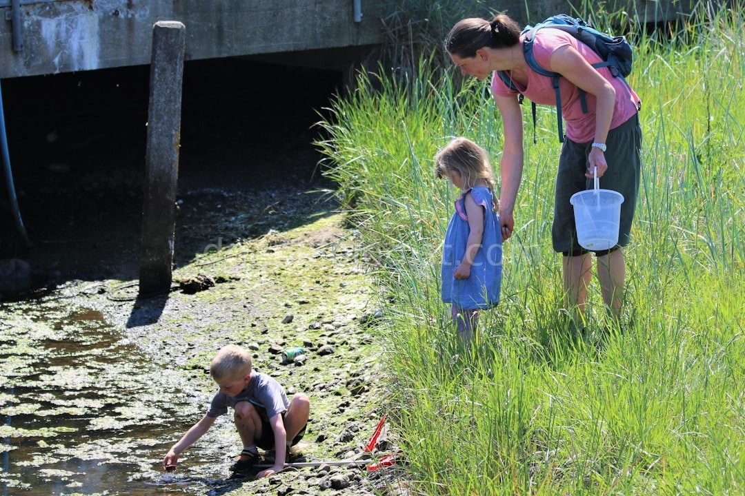 Stewardship