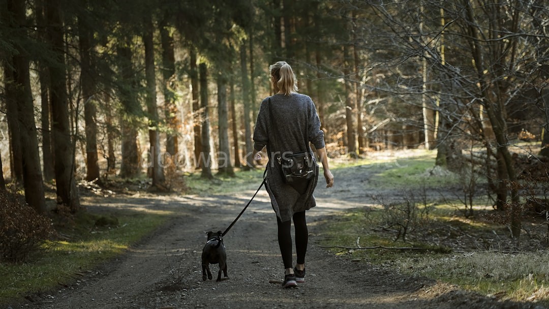 Solo Walks