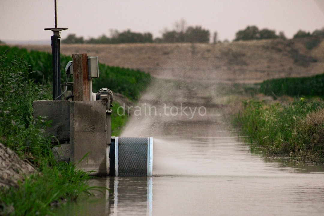 Drain Cleaning