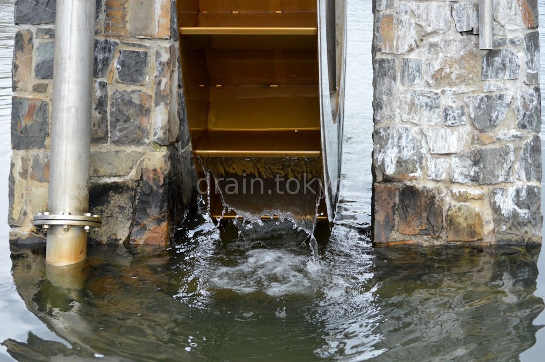 Sewer Repair