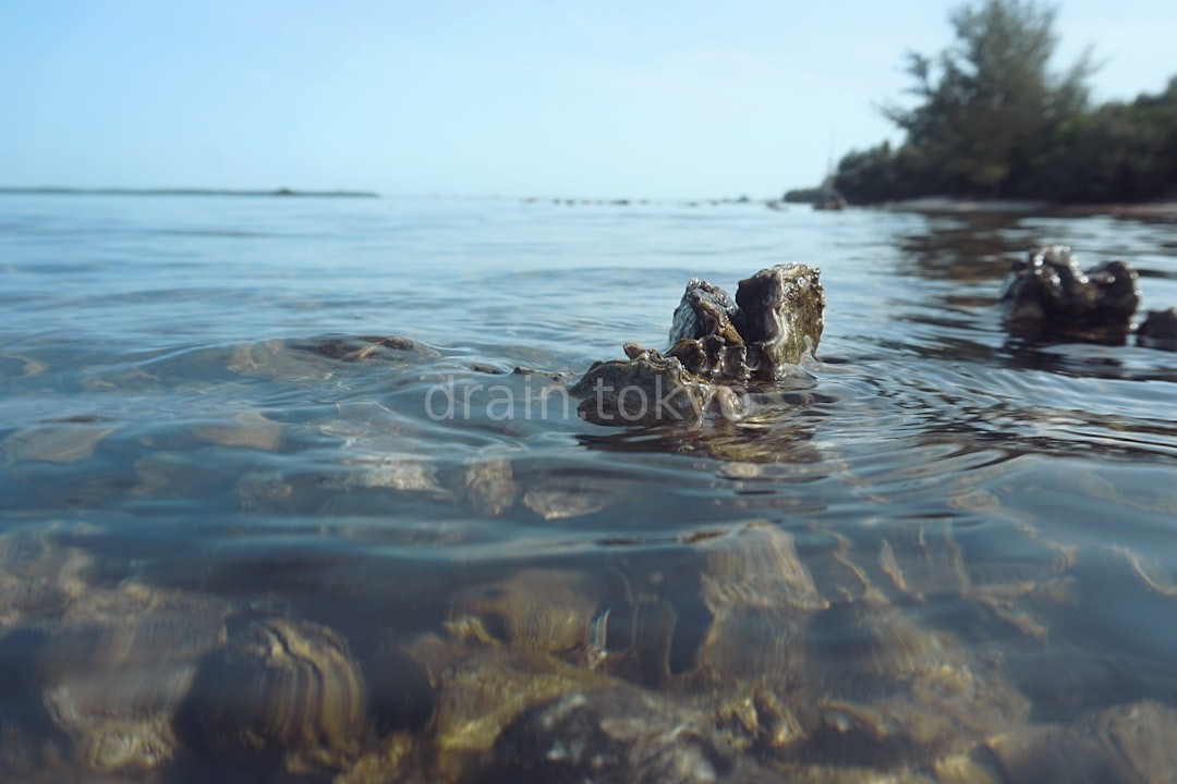 Water Restoration Background