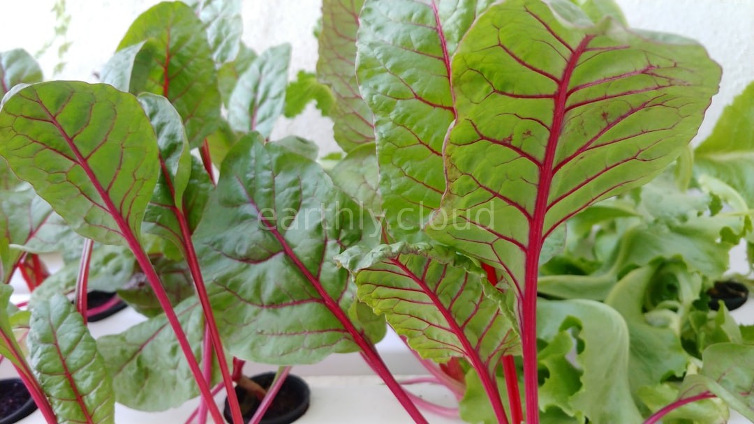 Reel 3