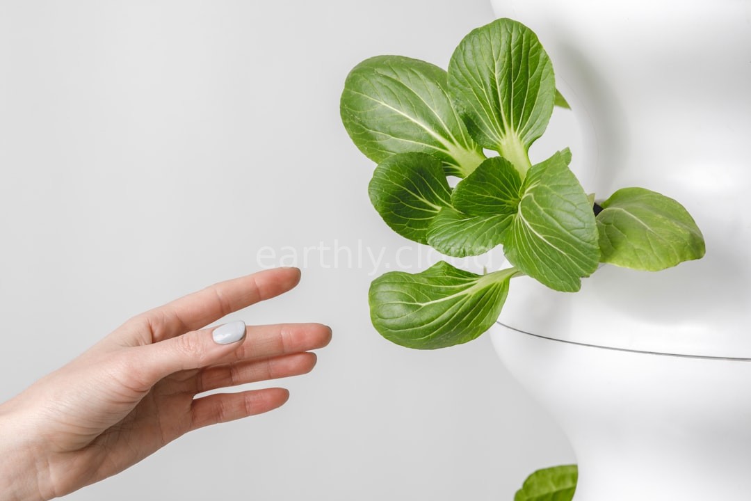 Nutrient Solutions