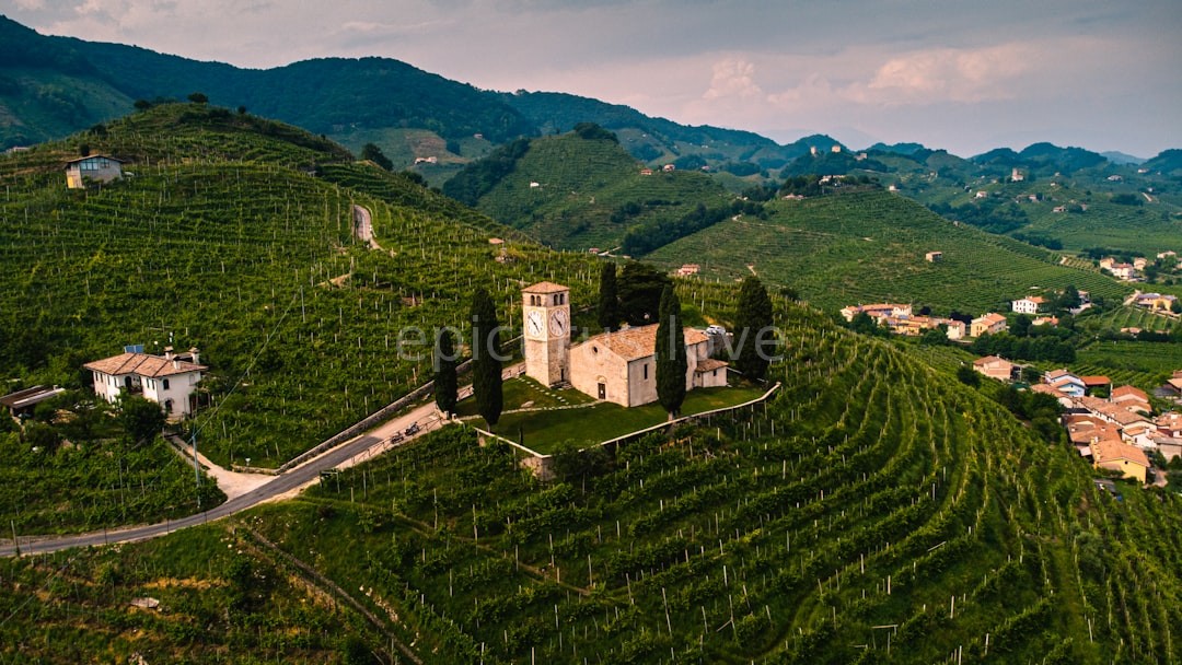 Private Tasting