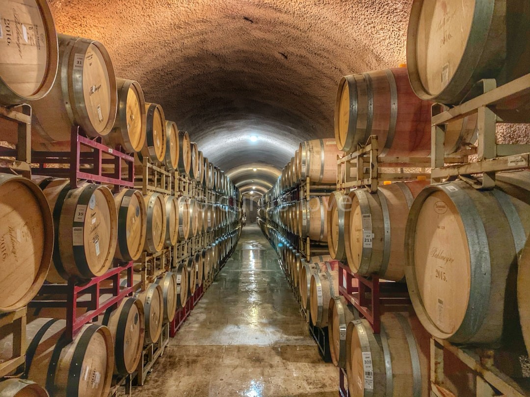 Vineyard Detail