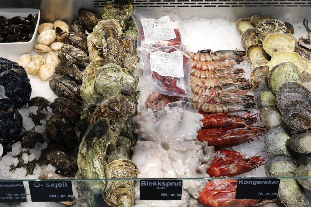 Oysters