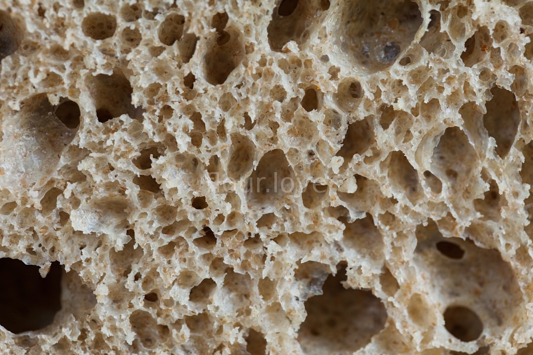 Baking Process