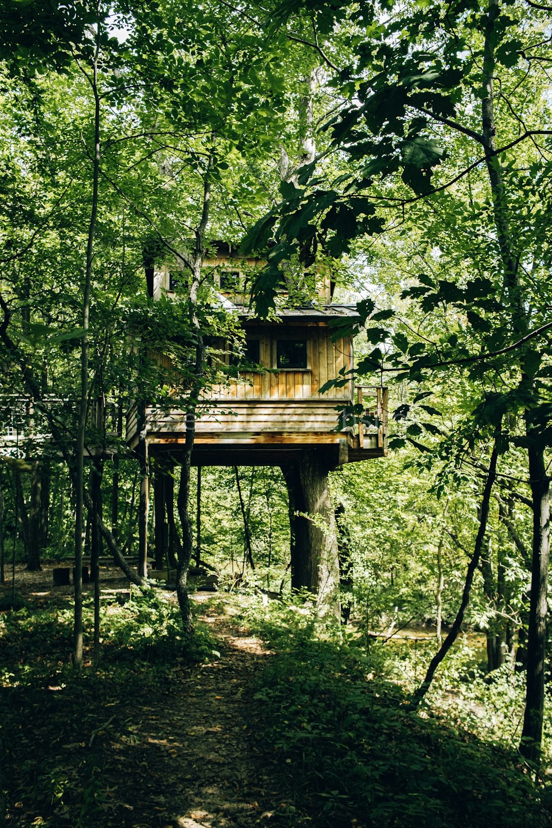 The Canopy Villa
