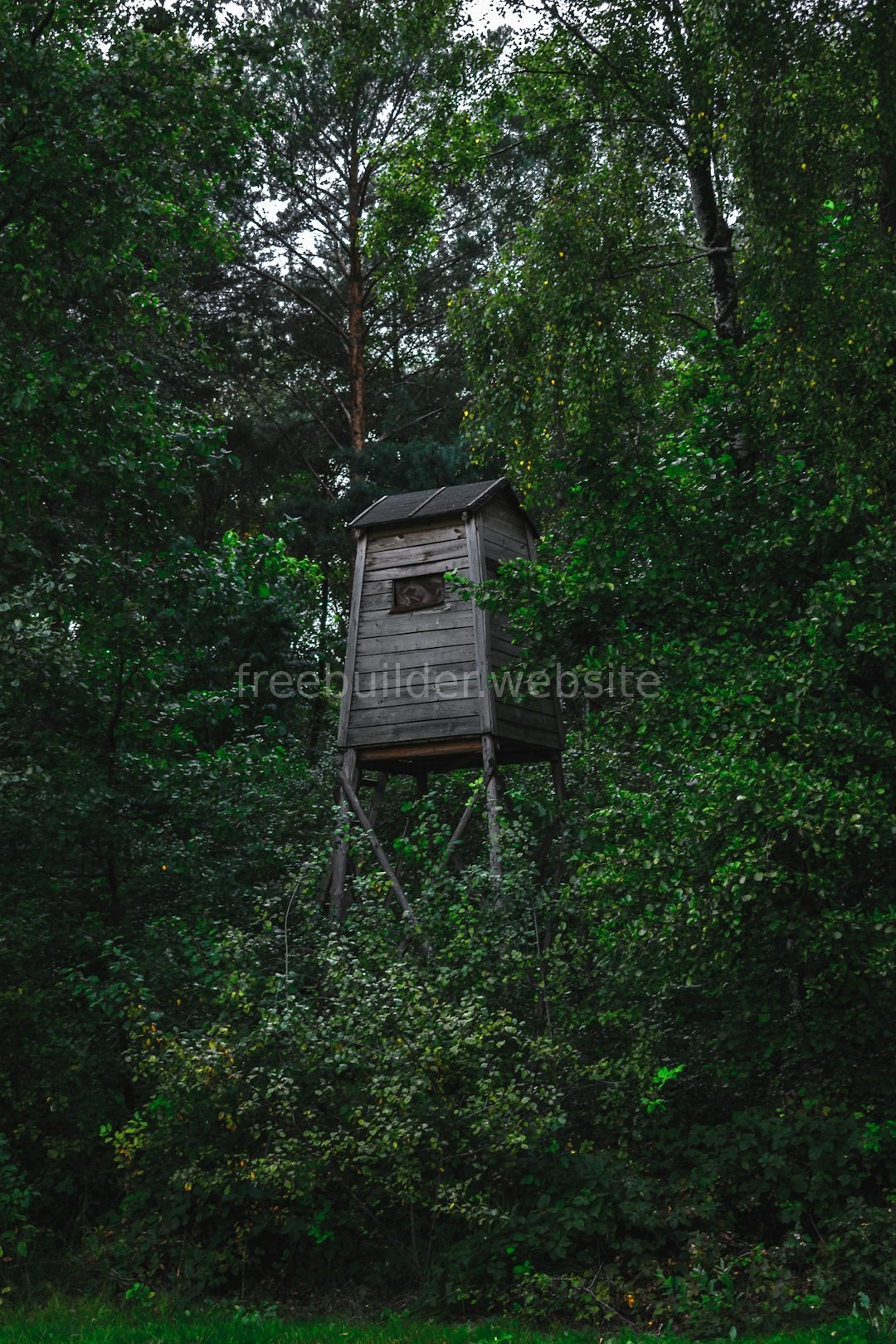 Luxury Treehouse
