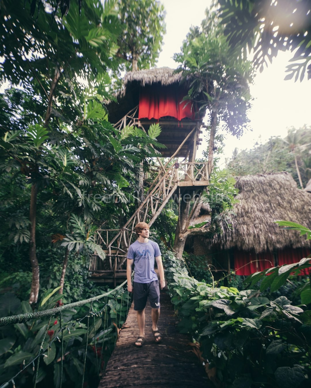 Concrete Treehouse Background