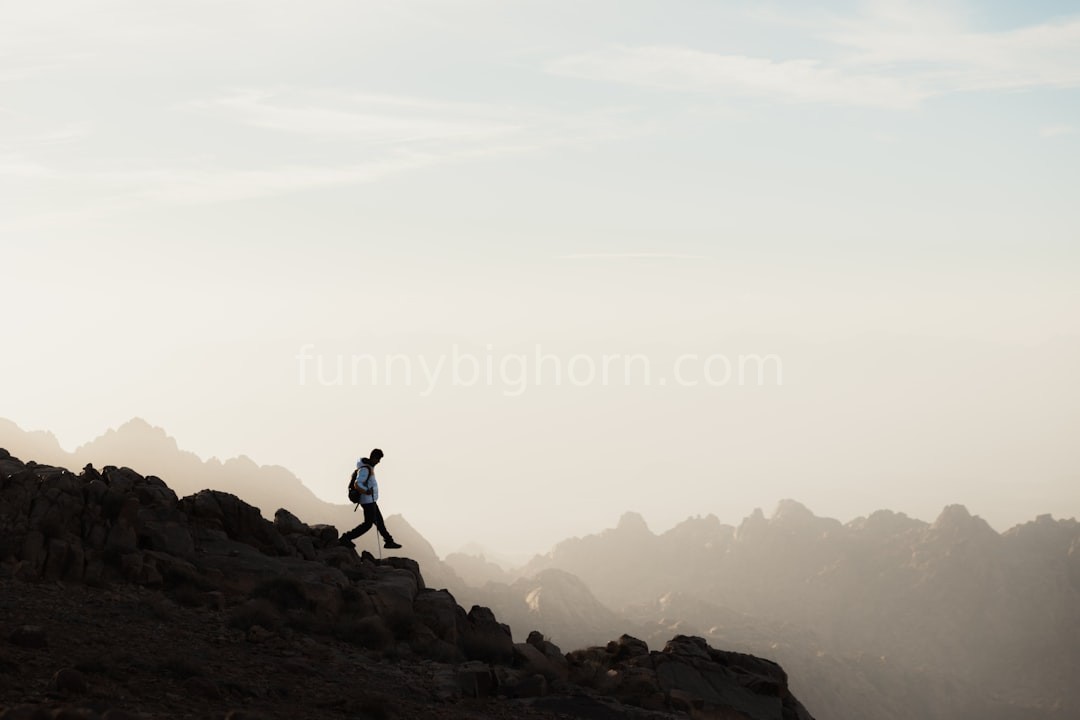 Alpine Trek