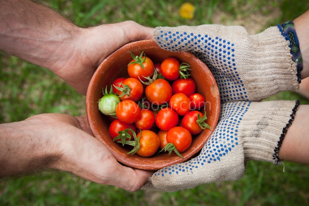 Farmer working