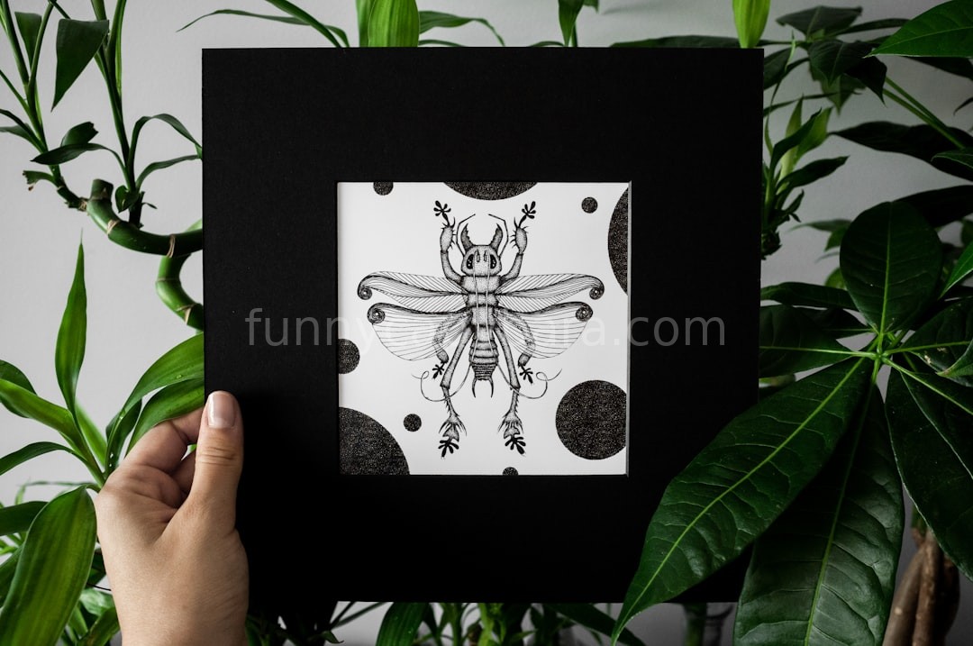 Gallery Item