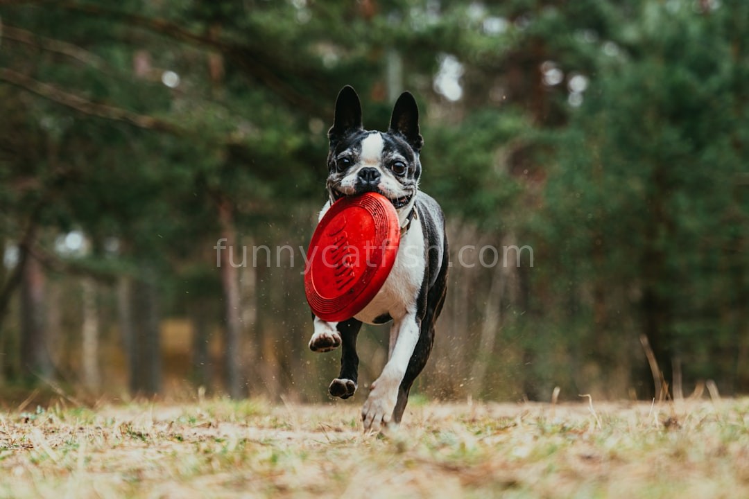 Calming