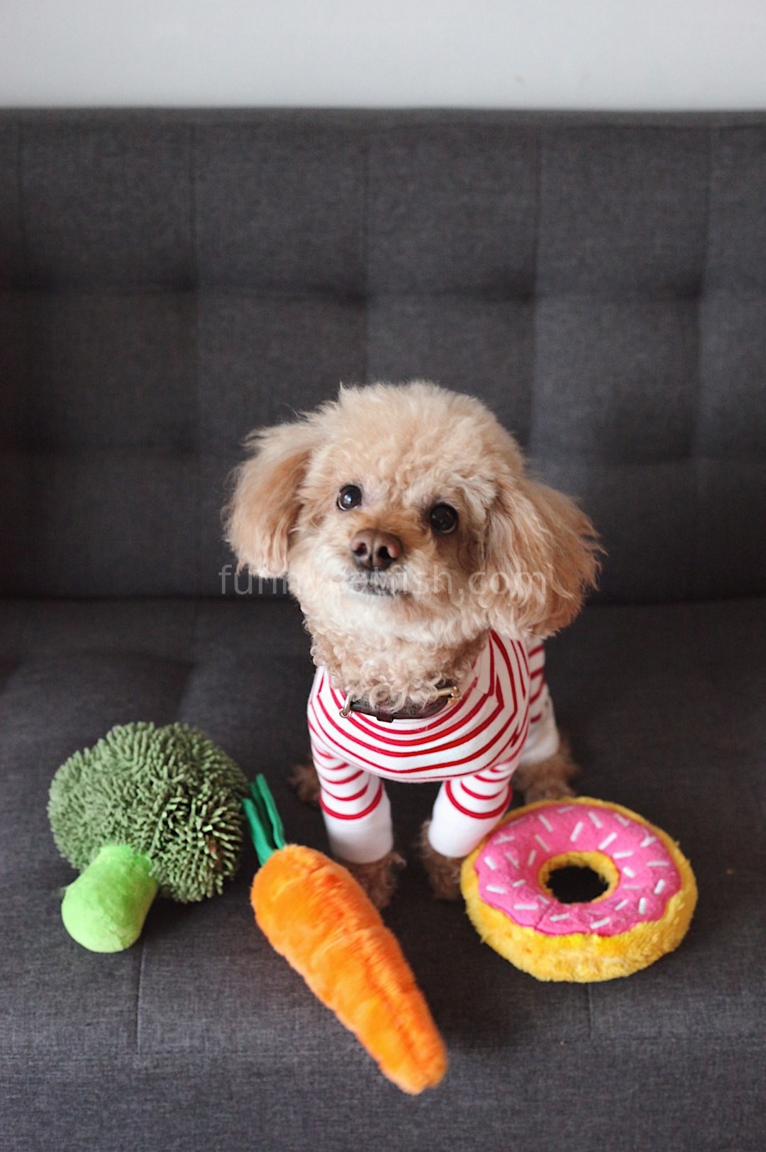 Pet 2