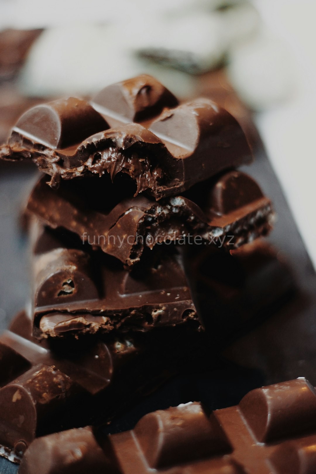 Premium Hazelnut Chocolate