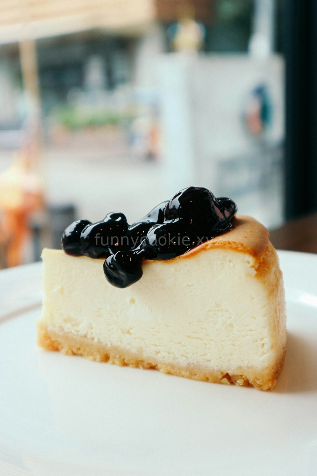 Fruit Cheesecake