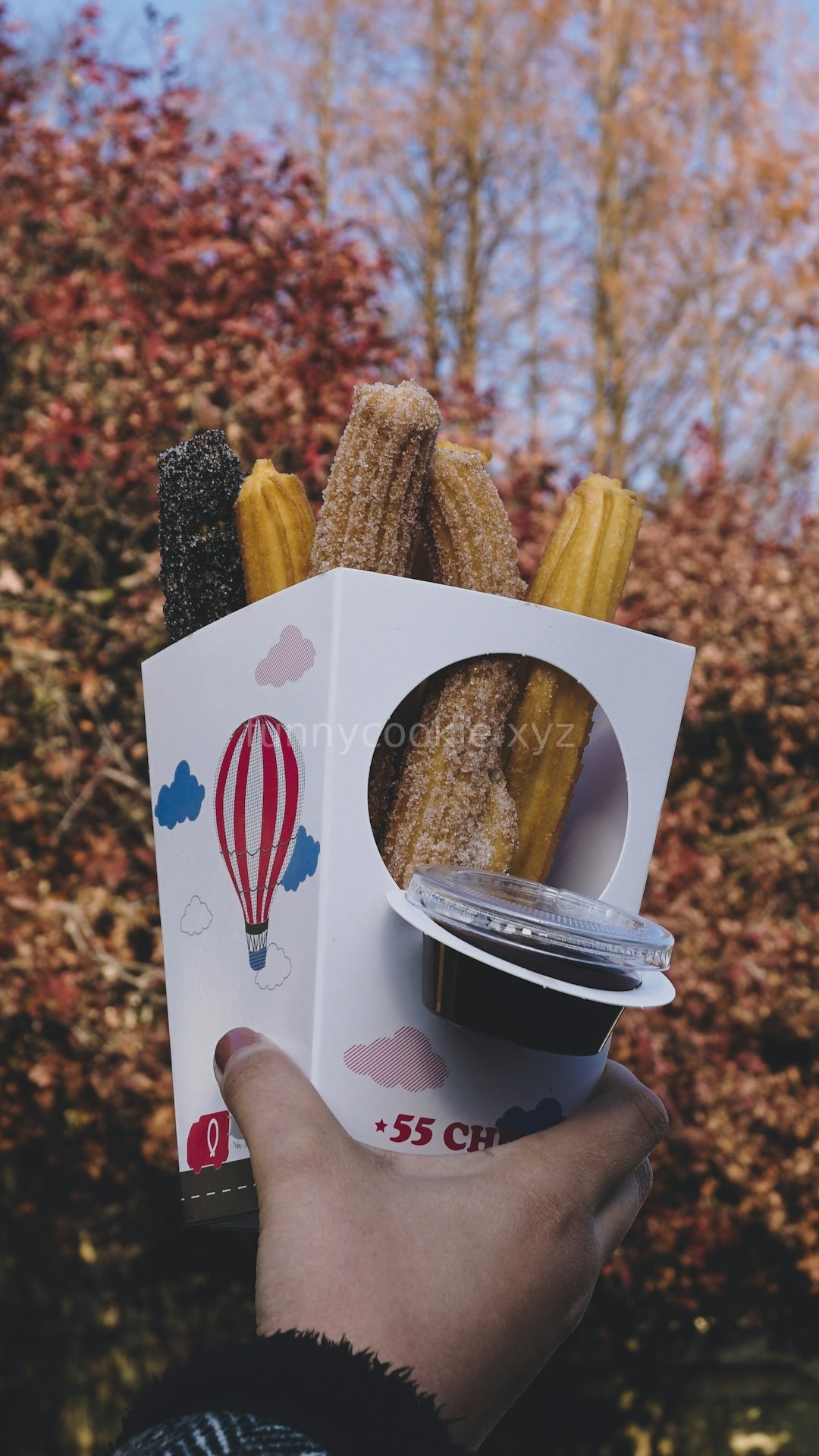 Filled Churros