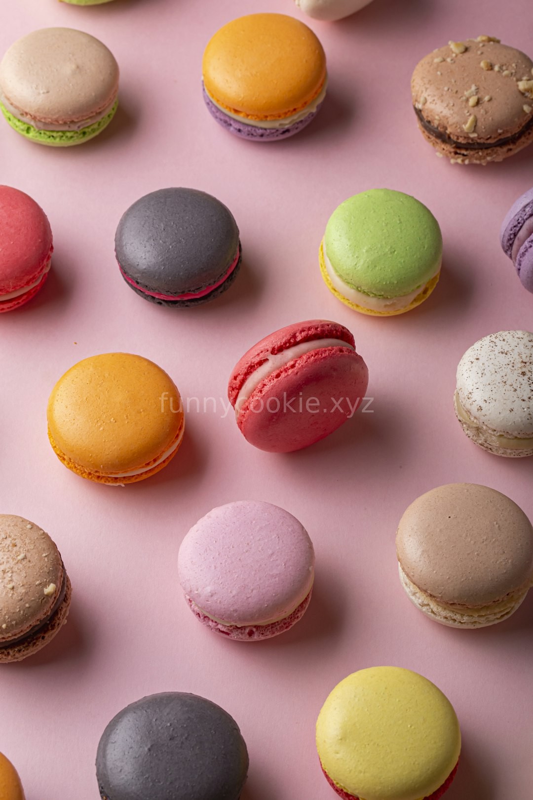 Signature Macarons