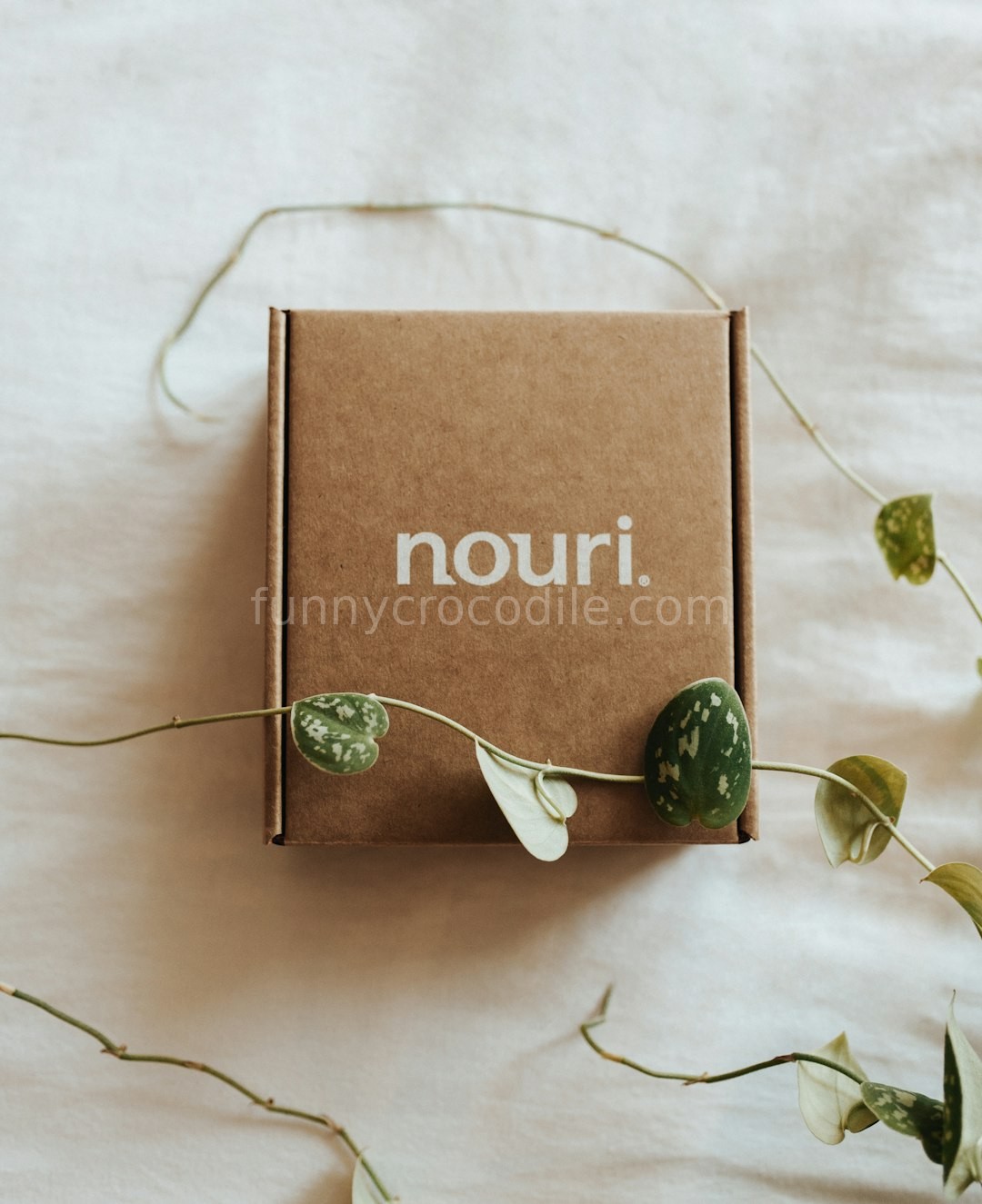 Premium Packaging