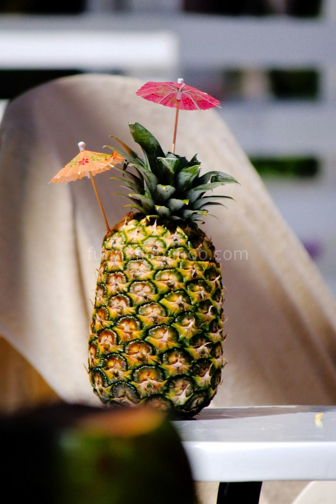 Tropical Cocktail