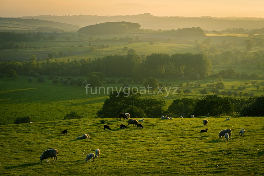 Reel 4