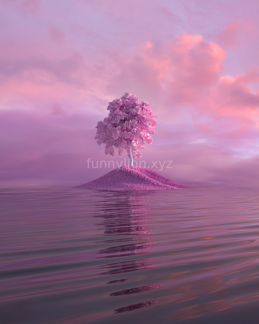 Reel 1