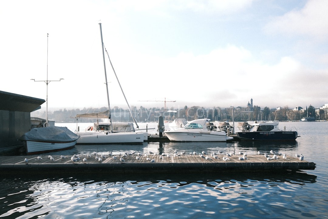 Sailing Reel 3